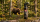 Spray de autoaparare TW1000 cu piper impotriva ursilor, Bear Defender 225 ml